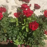 Bed & Breakfast Les Maitres Sonneurs Huriel