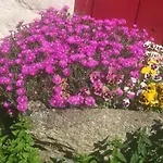 Bed & Breakfast Les Maitres Sonneurs Huriel