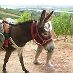 Les Maitres Sonneurs 3* Huriel