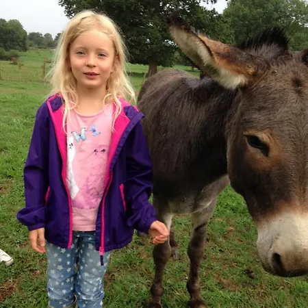 Les Maitres Sonneurs Bed & Breakfast