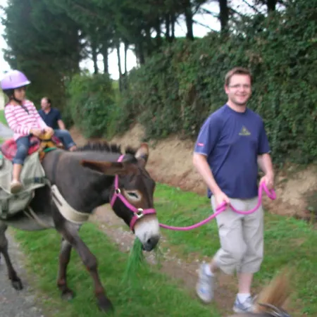 Les Maitres Sonneurs Bed & Breakfast