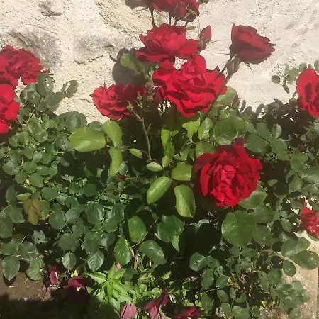 Bed & Breakfast Les Maitres Sonneurs Huriel