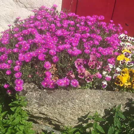 Bed & Breakfast Les Maitres Sonneurs Huriel