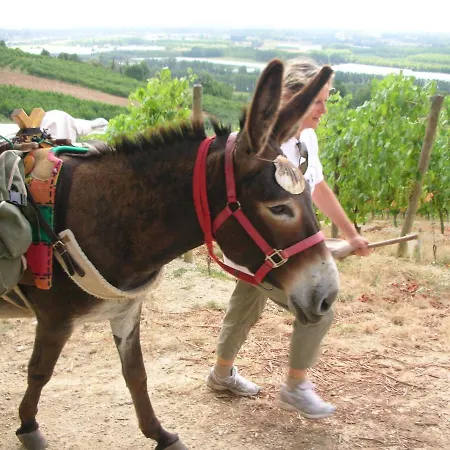 Les Maitres Sonneurs 3* Huriel