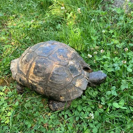 Les Maitres Sonneurs Bed & Breakfast Huriel