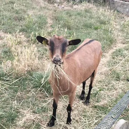 Les Maitres Sonneurs 3* Huriel