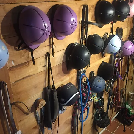 Les Maitres Sonneurs