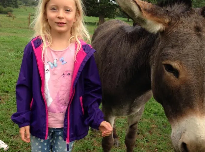 Les Maitres Sonneurs Отель типа 