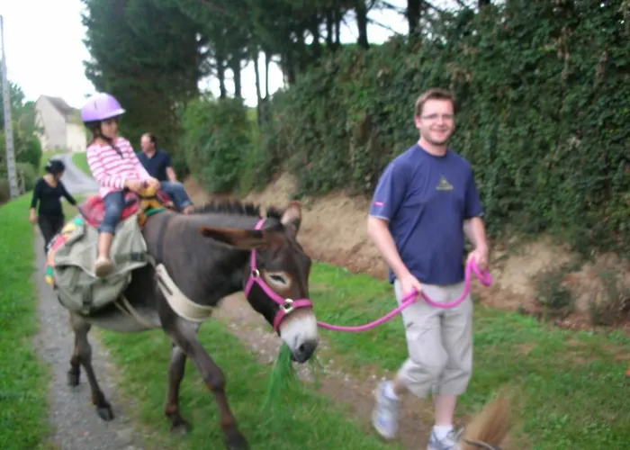 Les Maitres Sonneurs Отель типа 