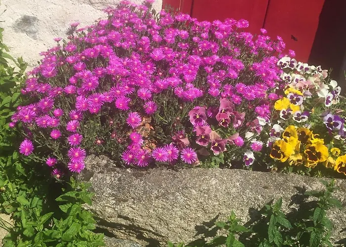 Nocleg ze śniadaniem Les Maitres Sonneurs Huriel