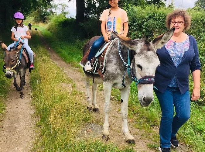 Les Maitres Sonneurs Отель типа 