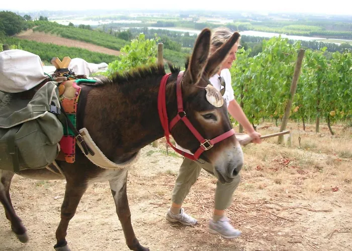 Les Maitres Sonneurs 3* Huriel