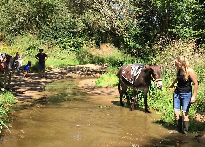 Les Maitres Sonneurs Отель типа 