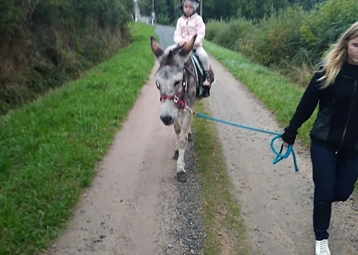 Nocleg ze śniadaniem Les Maitres Sonneurs 3*