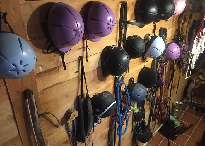 Les Maitres Sonneurs