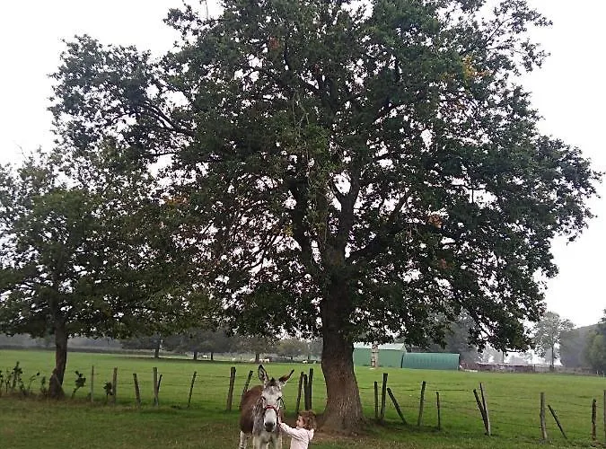 Les Maitres Sonneurs Huriel